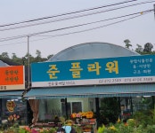 준플라워