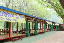 홍천강김행종의집
