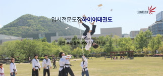 국가대표 하이어태권도장