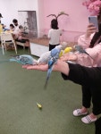 해피주 수원점