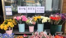 섬강화원