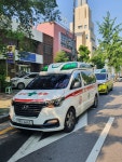 대한응급환자이송단
