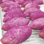 다온쿠킹 디저트가든