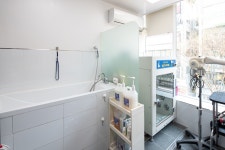 벨라루시펫살롱