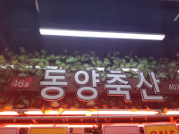 동양축산