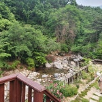 그루터기