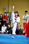 시흥본관 경희대 수태권도