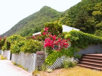 보노펜션