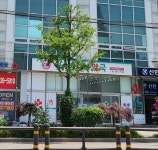 정수메디칼약국
