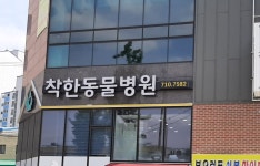 대구착한동물병원