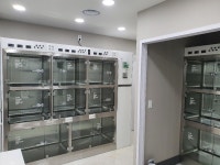 박물관옆동물병원