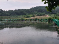 송말낚시터