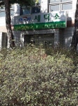 쉐르빌명품세탁소