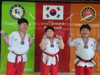 연세이글태권도