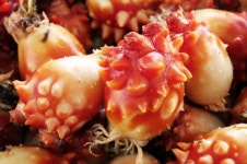 준이수산