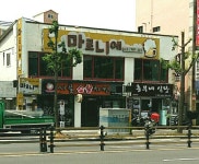 마로니에