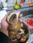 준이수산