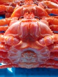 준이수산