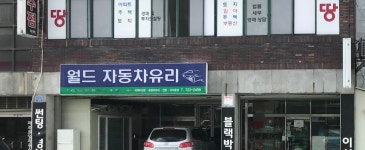 월드자동차유리