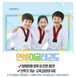 연세이글태권도