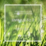 올가드림뷰티