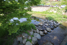 용문산리조트펜션