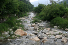 용문산리조트펜션