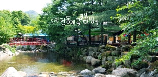 단양천동계곡캠핑장 그린농원