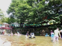 단양천동계곡캠핑장 그린농원