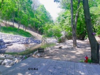 평창태기산캠핑장펜션