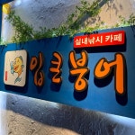 입큰붕어실내낚시카페