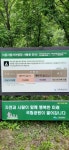 덕동오토캠핑장