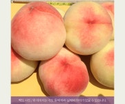이언농장