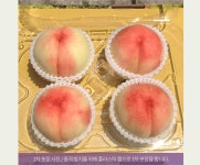 이언농장