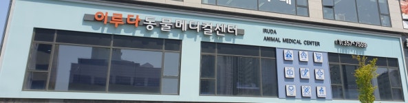 이루다동물병원