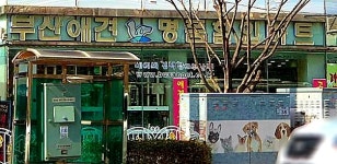 부산애견할인마트