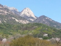 산아래 호프