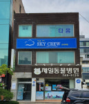 스카이크루
