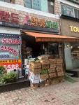 별빛과일