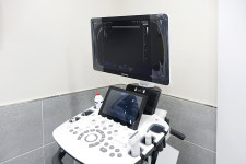 가나다동물병원