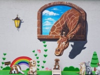 함개하자냥 카페 & 미용실