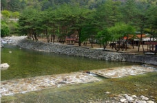 숲속힐링오토캠핑장