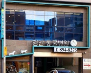 양한방전문 힘찬동물병원