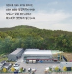 다원에프앤비