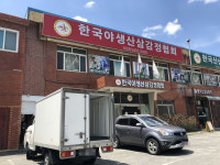 한국야생산삼감정협회
