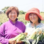 농업회사법인 에스케이제주팜