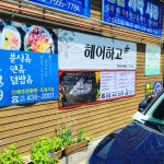 파스타라이더스 주안점