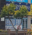 명보공인중개사