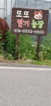 또또딸기농장