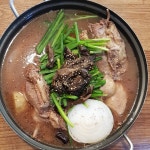버드나무집
